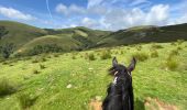 Trail Horseback riding Auritz - 2023 R2 J1 - Photo 15