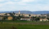 Tour Wandern Villeneuve-de-Berg - 2024-02-01_17h01m07_Villeneuve Sauveplantade 18km - Photo 2