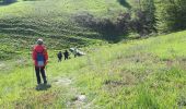 Tocht Noords wandelen Blegny - mortier_22_05_2021 - Photo 10