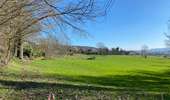 Trail Walking Mont-de-l'Enclus - Amougies 16 km - Photo 6