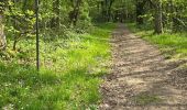 Trail Walking Saint-Chéron - Saint-Cheron - Autour du château du Marais - Photo 15