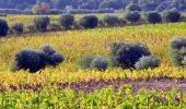 Percorso Marcia Le Castellet - Trace_Ste_Anne - Photo 20