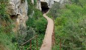 Trail Walking Montmeyan - les basses gorges de quinson - Photo 20
