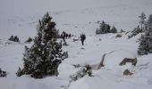 Excursión Raquetas de nieve Dorres - 2021-02-10 Sortie CAF - Port de Maurà depuis Dorres - Photo 3