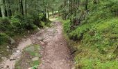 Tour Wandern Gerdsee - le circuit des xettes Gérardmer 07/08/23 - Photo 1