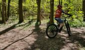 Trail Mountain bike Mutzig - parcours test VTTAE Mutzig  - Photo 5