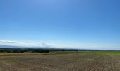 Tour Reiten Weyersheim - Hohenberg et forêt  - Photo 2