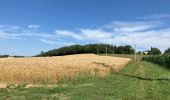 Randonnée  Castelnau-de-Montmiral - Chemin de Gradille avec chapelle  - Photo 9