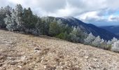 Percorso Mountainbike Bédoin - Randuro sous les sapins blancs - Photo 3