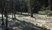 Percorso A piedi Sconosciuto - Habichtswaldsteig - Extratour Habichtswald - Photo 8