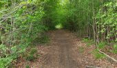 Trail Walking Noisy-sur-Oise - forêt de carnelle - Photo 6