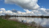 Trail Walking Dendermonde - Dendermonde Moerzeke 19,5 km - Photo 10
