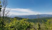 Randonnée Marche Bugarach - Bugarach par la fenêtre  - Photo 1