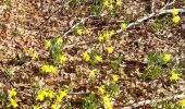 Tour Wandern Corbonod - GRAND COLOMBIER: SUR LYAND - CHARBEMENES par les crêtes - COLOMBIER - RETOUR PAR VALLON D'ARVIERES - Photo 2