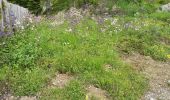 Excursión Marcha nórdica Arbaz - bisse de Bitailla et Ayent  - Photo 2