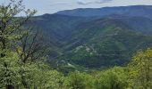 Tour Wandern Montselgues - plateau m'ont selgue - Photo 4