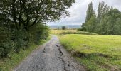 Tocht Stappen Doornik - Mont St Aubert 13,8 km - Photo 8