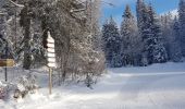 Trail Cross-country skiing Mijoux - Les louvatieres en coupant par le passage des dames - Photo 1