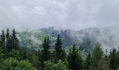 Randonnée Marche La Clusaz - Les Converses, Les Étages, Crêt du Merle, Les Tollets, Les Converses  - Photo 7