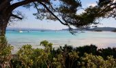 Tocht Stappen Hyères - Ile de Porquerolles - Photo 13