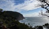 Trail Walking Le Pradet - Fort bayarde - Photo 12