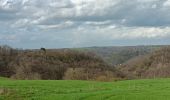 Tour Wandern Esneux - autour du Cortil et des Sept Collines  - Photo 2