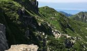 Tour Wandern Montriond - Lac de Montriond - Roc de Tavaneuse - Photo 14