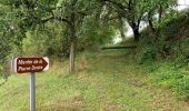 Randonnée Marche Buno-Bonnevaux - Buneau-Bonnevaux Menhir de la pierre droite  - Photo 4