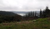 Trail Walking Celles - Lac du Salagou  - Photo 10