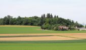 Randonnée A pied Hemmingen - DE-SAV Blauer Punkt, Leonberg Bhf - Vaihingen/Enz - Photo 1