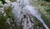 Tocht Stappen La Sure en Chartreuse -  Gorges de la Roize Voreppe - Photo 6