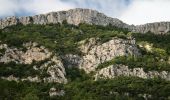 Tour Zu Fuß la Torre de Fontaubella - De la torre de Fontaubella a Llaberia - Photo 8