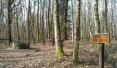 Trail Walking Sentheim - Haut Soultzbach - Photo 10