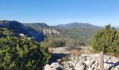 Trail Walking Mazaugues - le Mourre d'Agnis au départ du Caucadis - Photo 4