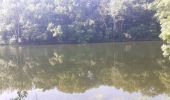 Trail Walking Chenonceaux - Chenonceaux - Photo 13