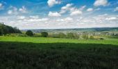 Tour Mountainbike Wirten - Chemin transfrontalier des mines de fer  -  Balade_VTT_51kms - Photo 4