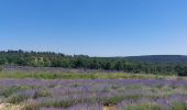 Tour Wandern Montjoyer - Citelles :Le Serre de Mirabel.11km - Photo 2