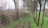 Tocht Stappen Aywaille - A la découverte de Sougné-Remouchamps - Photo 18