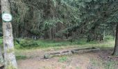 Tour Wandern Raon-sur-Plaine - suuntoapp-Hiking-2025-07-14T08-58-29Z - Photo 6