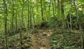 Trail Walking Neupré - A la découverte de la Roche aux Faucons 🥾 - Photo 2