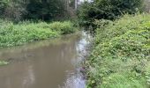 Tour Wandern Huldenberg - Huldenberg Terlanen site naturel Lasne - Photo 19