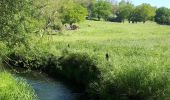 Tocht Noords wandelen Soumagne - Ayeneux_30_05_2021 - Photo 19