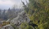 Trail Walking Pradelles - Tour sommets live de Pradelles  - Photo 7