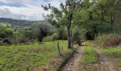 Trail Walking Neupré - Bonsgnée  - Photo 2