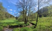 Tocht Stappen Fauvillers - rando honville 18-05-2023 - Photo 2