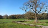 Tour Zu Fuß Renkum - Hartensepad - Photo 1