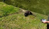 Percorso A piedi Lelystad - Lelystad-Oostvaardersbos-Knarbos - Photo 3