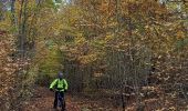 Trail Electric bike Saint-Clément - sortie vtt 12112023 gerbeviller vitrimont  - Photo 5