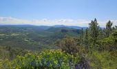 Trail Walking Bagnols-en-Forêt - Gorges du Blavet - Photo 1
