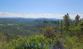 Tour Wandern Bagnols-en-Forêt - Gorges du Blavet - Photo 1